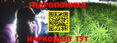 прущие грибы Апшеронск