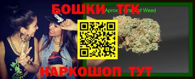 прущие грибы Апшеронск