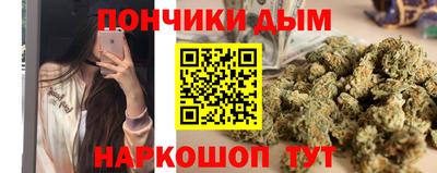прущие грибы Апшеронск