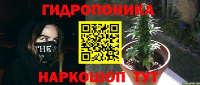 прущие грибы Апшеронск