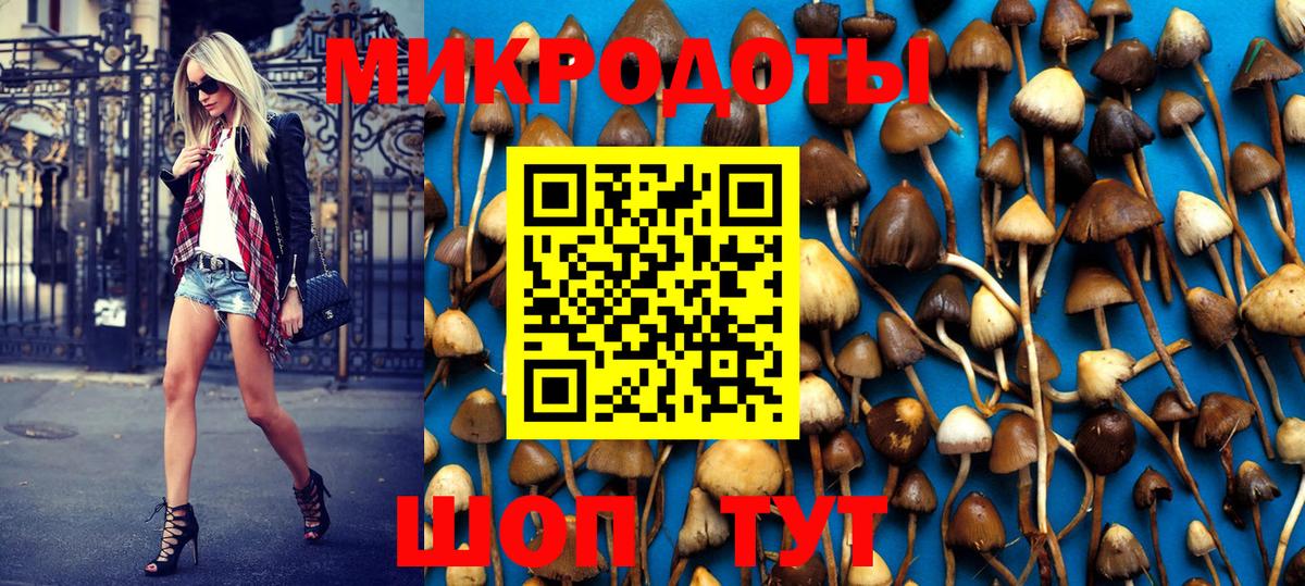Псилоцибиновые грибы GOLDEN TEACHER Братск
