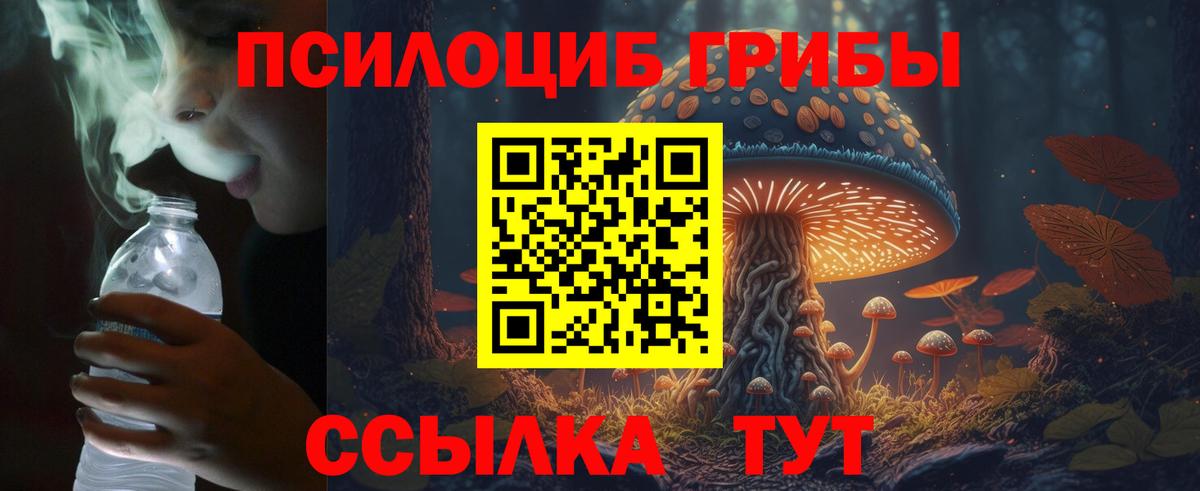 Галлюциногенные грибы мицелий  Вход с VPN  Братск 